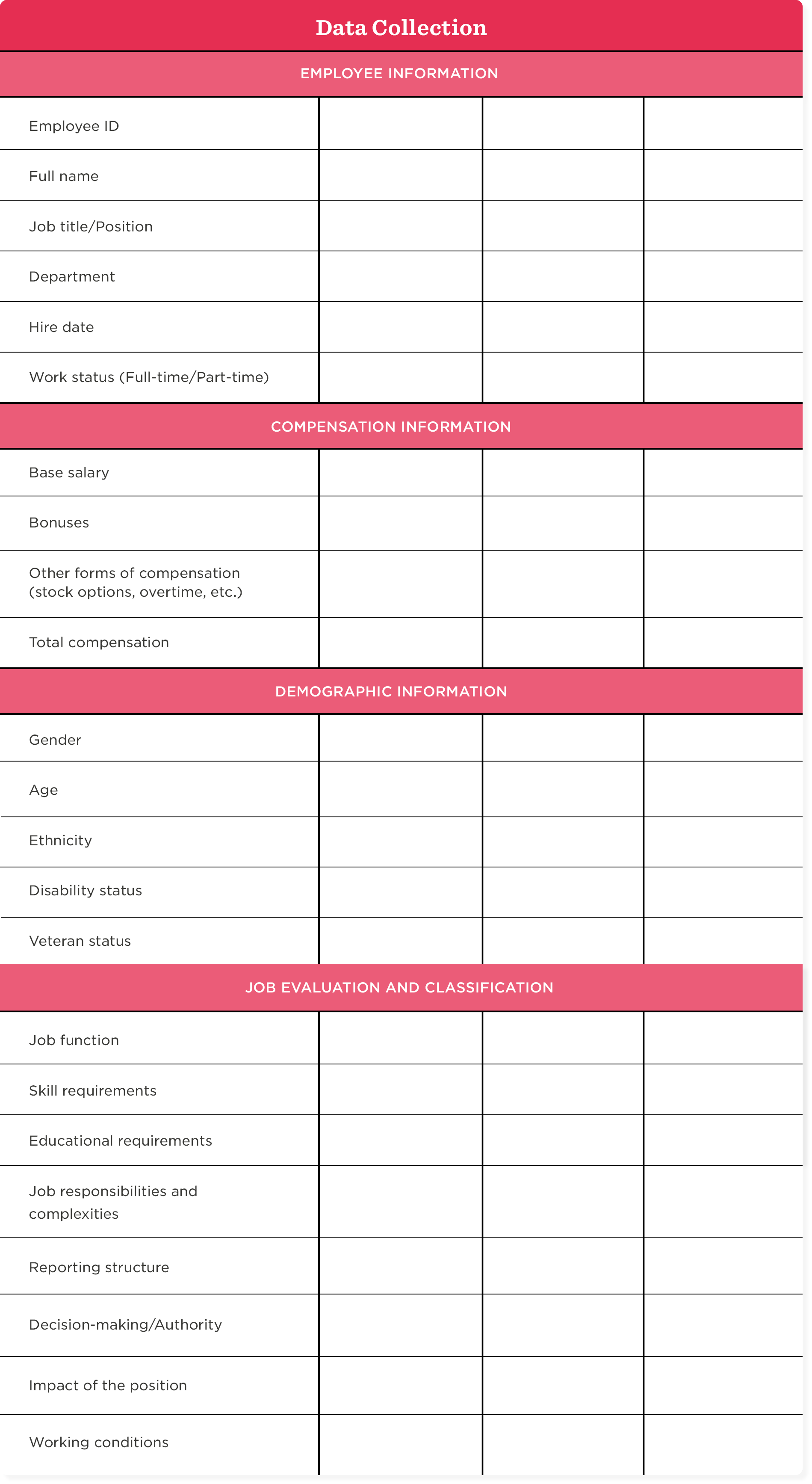 pay equity audit